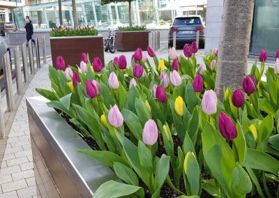Griffin Landscaping Gallery 24