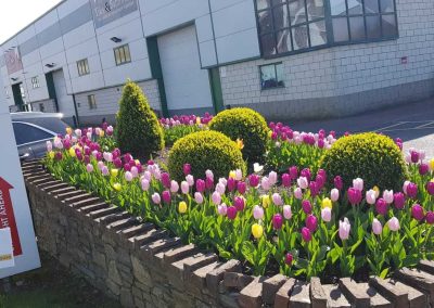Griffin Landscaping Gallery 25