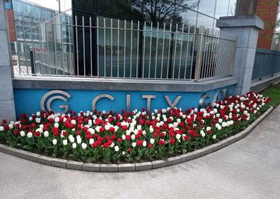 Griffin Landscaping Gallery 28