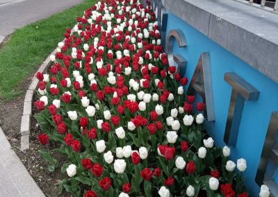 Griffin Landscaping Gallery 29