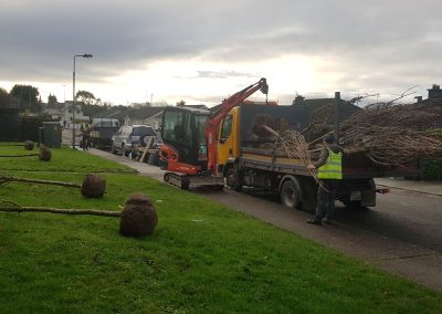 Griffin Landscaping Gallery 6